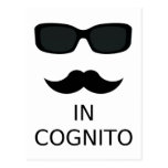 In Cognito Postkarten