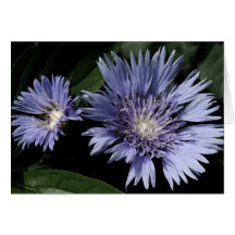 In der Garten-leeren Karte