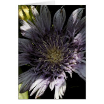 In der Garten-leeren Karte