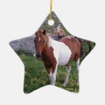 Indische Pony-Verzierung Weihnachtsbaum Ornamente