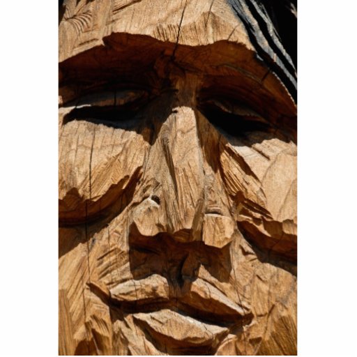 Indische Statuefotoskulptur