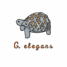 Indisches Stern-Schildkröten-Hemd (Stickerei)