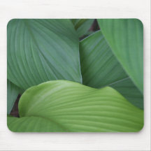Ingwer verlässt Mousepad