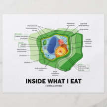 Innerhalb, was ich esse (Pflanzen-Zellen-vegetaris Flyerdesign