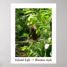Insel-Leben ~ Borneo-Art Plakat