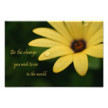 Inspirational Zitatgänseblümchen-Blumen-Fotografie