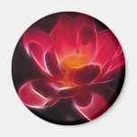 Intensive Lotos-Blume Magnete