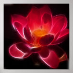 Intensive Lotos-Blume Plakatdruck