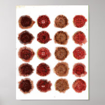 interurrupted_meditation posterdrucke