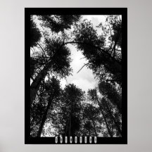 Intuitions-Plakat