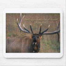 ioio (274) Kopie Mousepads