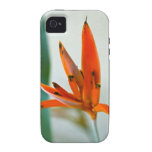 iPhone 4 starker Fall iPhone 4/4S Case