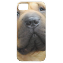 iphone 5 barly dort QPC Schablone iPh - besonders  Etui Fürs iPhone 5