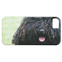 iphone 5 barly dort QPC Schablone iPh - besonders  iPhone 5 Schutzhüllen