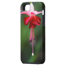 iPhone 5 Hülle