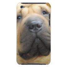 iPod-Touch-Fall - besonders angefertigt iPod Case-Mate Case