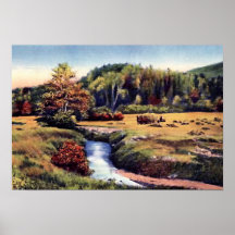 Irgendwo in Maine Posterdrucke
