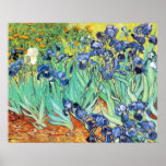 Iris durch Vincent van Gogh Posterdrucke