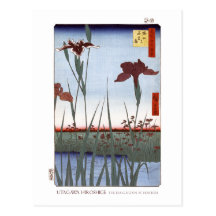 Iris-Garten-Postkarte