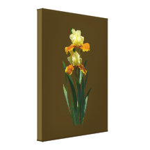 Iris-Honig glasiert Galerie Faltleinwand