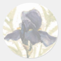 Iris Sticker
