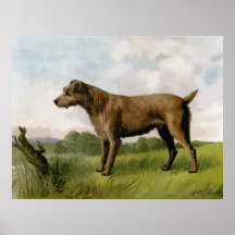 Irischer rauer Terrier 1874, hochwertiges Hundezei Posterdrucke