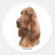 Irischer Setter 9Y177D-97 Aufkleber