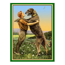 Irischer Wolfhound-Gruß Postkarten
