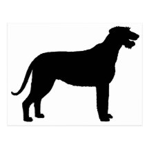 Irischer Wolfhound (im Schwarzen) Postkarten