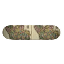 Irland-Karte 1813 durch John Pinkerton Skateboard Bretter
