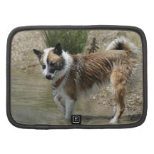 Islandhund Planer