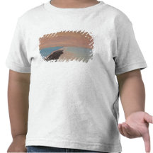 Israel, Totes Meer, Ein Bokek, Totes Meer, Dämmeru Tshirt