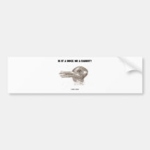 Ist es eine Ente oder ein Kaninchen? (Optische Täu Auto Sticker
