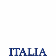 ITALIEN MMX - Gesticktes Hemd Italiens 2010