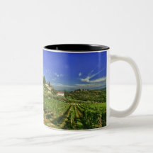 Italien, Toskana, Greve. Die Weinberge von Castell Tassen