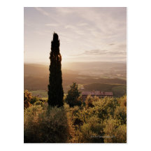 Italien, Toskana, Val d'Orcia, Montalcino Postkarte