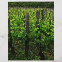 ITALIENISCHER WEINBERG TOSKANA INDIVIDUELLE FLYER