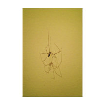 Itsy bitsy Spinne Galerie Falt Leinwand