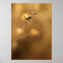 Itty Bitty Wanze Plakatdrucke