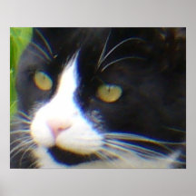 Ja bin ich hübsche Öl-Malerei Poster