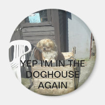 JA bin ich IM DOGHOUSE WIEDER Kühlschrankmagnete