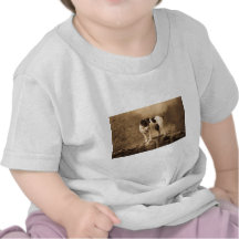 Jack der Vintage Jack-Russell-Terrier Tshirts