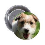 Jack-Russell-Terrierknopf Anstecknadelbutton