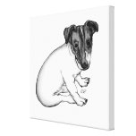 Jack Russell Welpe 10 Wochen alt Gespannte Galeriedrucke