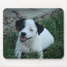 Jack-Russell-Welpe (Süsse-Torte) Mauspad