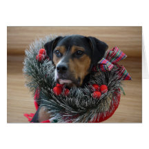 Jacksons WeihnachtsKranz Karten