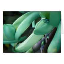 Jade-Traumgruß-Karte