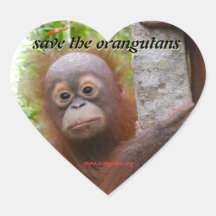 Jagd, eine neue Orang-Utan Waise Sticker