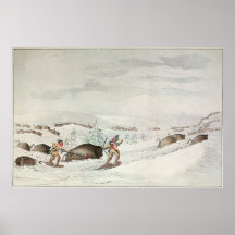 Jagdbüffel auf Schneeschuhen Posterdrucke