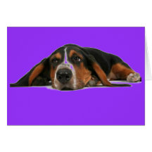Jagdhund Grußkarte